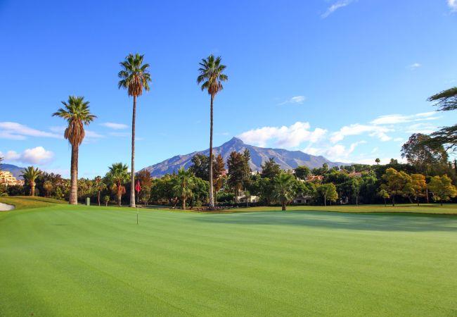 Apartamento en Nueva andalucia - Boho | Apartamento en Nueva Andalucía Apartamento en Nueva andalucia - Boho | Apartamento en Nueva Andalucía