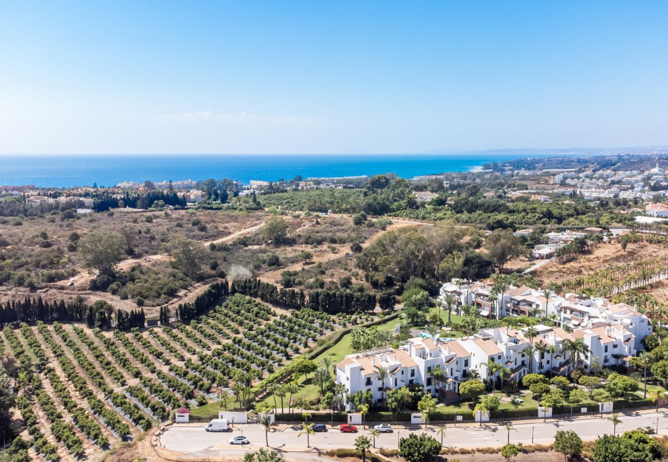 Apartment in Estepona - Palm Gardens | Apartment with garden in Estepona
