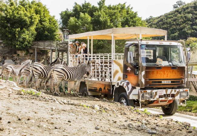 Appartement in Estepona - Penthouse Feliz | Met nabijgelegen golfbaan in Estepona Appartement in Estepona - Penthouse Feliz | Met nabijgelegen golfbaan in Estepona