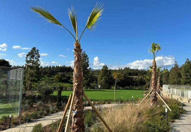 Apartment in Mijas - Luxor | Apartment with terrace in Mijas Costa Apartment in Mijas - Luxor | Apartment with terrace in Mijas Costa